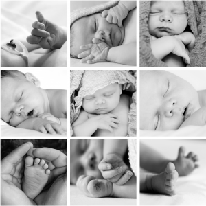 newborn collage